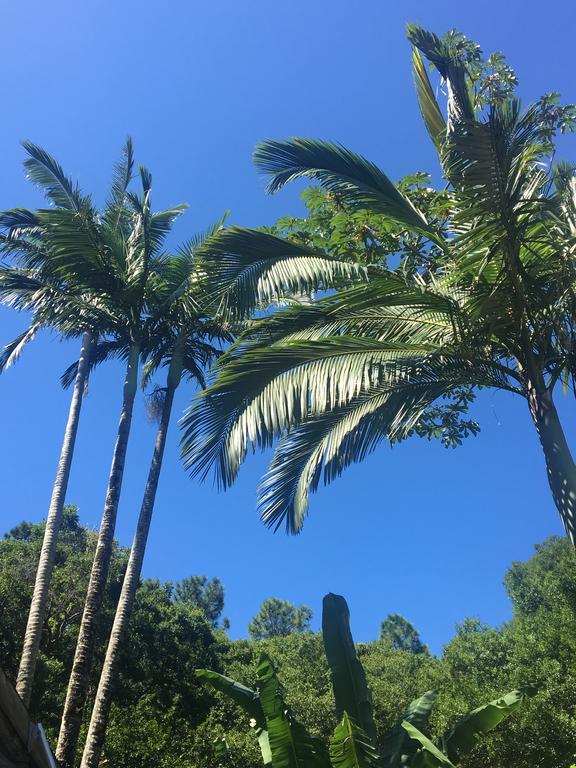 Pousada Jardim Da Lagoa 호텔 Florianópolis 외부 사진